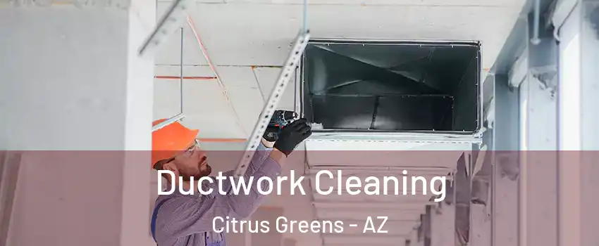 Ductwork Cleaning Citrus Greens - AZ