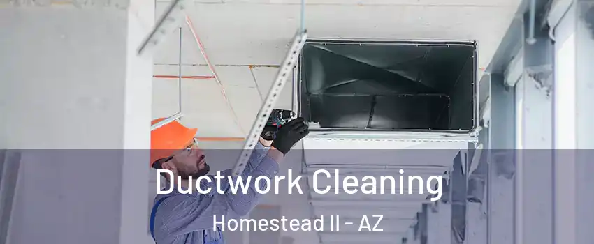 Ductwork Cleaning Homestead II - AZ