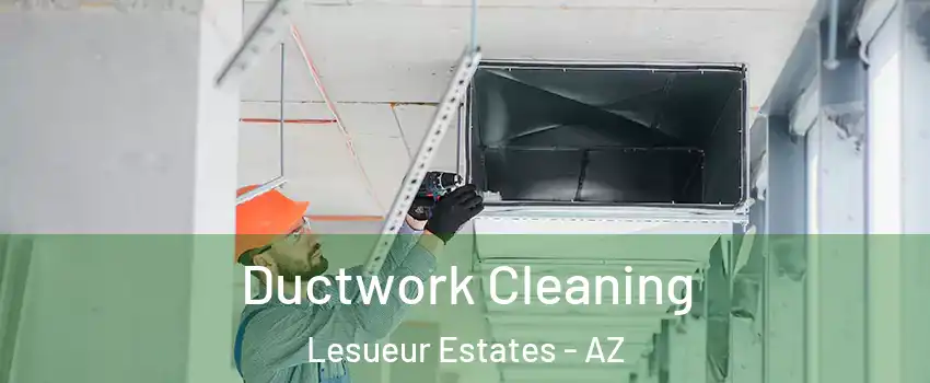 Ductwork Cleaning Lesueur Estates - AZ