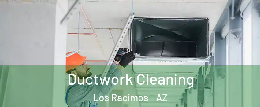 Ductwork Cleaning Los Racimos - AZ