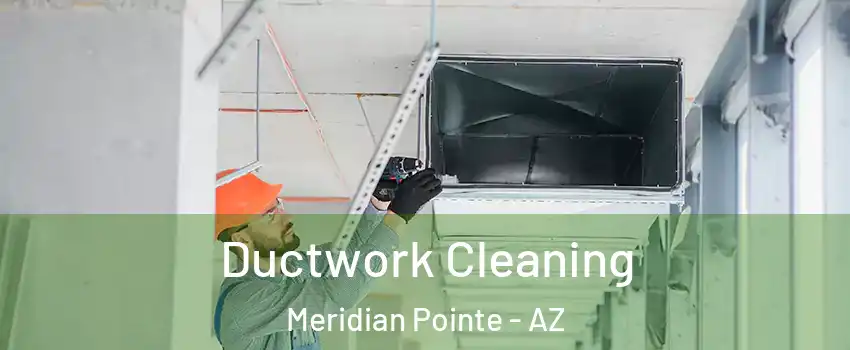 Ductwork Cleaning Meridian Pointe - AZ
