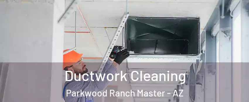 Ductwork Cleaning Parkwood Ranch Master - AZ