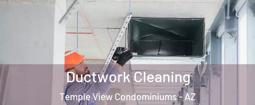 Ductwork Cleaning Temple View Condominiums - AZ