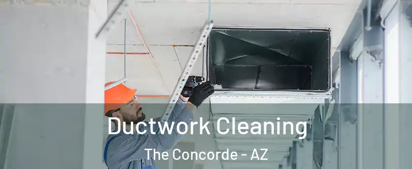 Ductwork Cleaning The Concorde - AZ