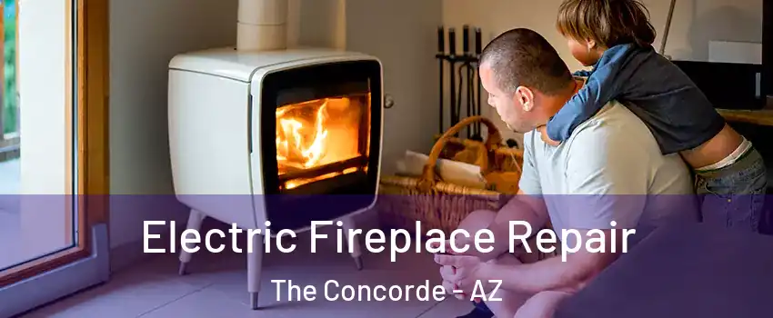 Electric Fireplace Repair The Concorde - AZ