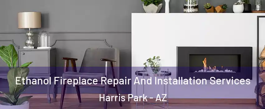 Ethanol Fireplace Repair And Installation Services Harris Park - AZ