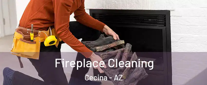 Fireplace Cleaning Cecina - AZ
