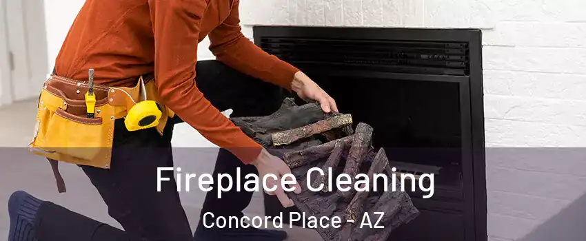 Fireplace Cleaning Concord Place - AZ
