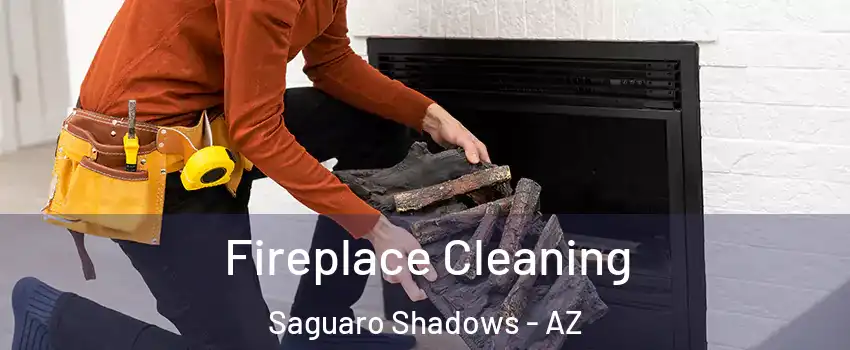 Fireplace Cleaning Saguaro Shadows - AZ