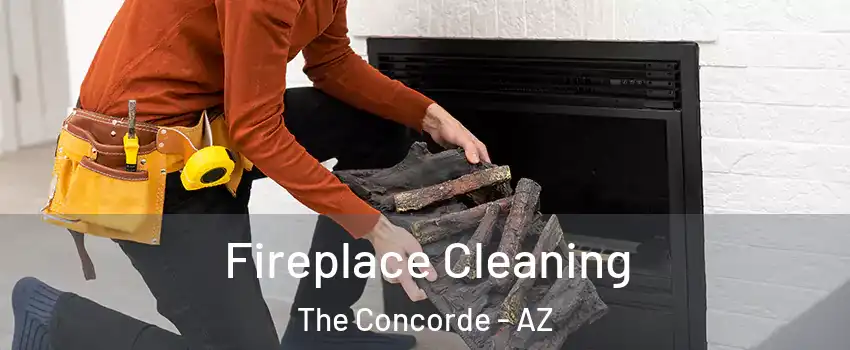 Fireplace Cleaning The Concorde - AZ