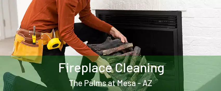 Fireplace Cleaning The Palms at Mesa - AZ