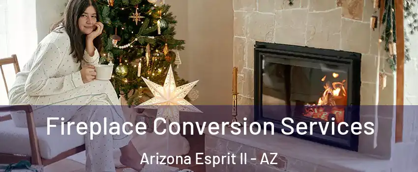 Fireplace Conversion Services Arizona Esprit II - AZ