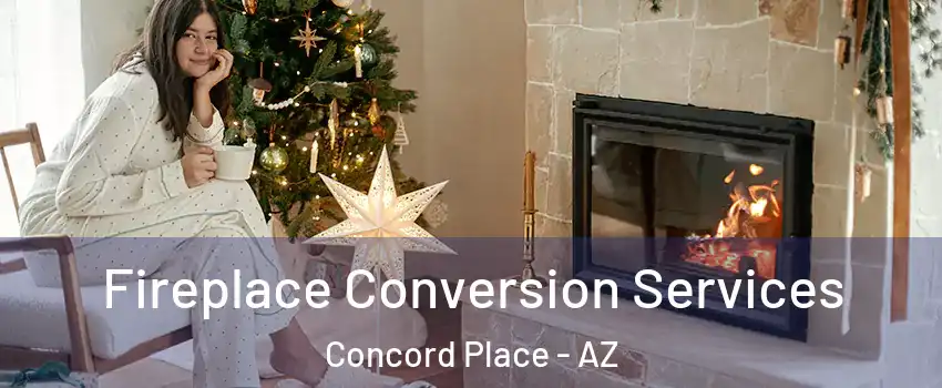 Fireplace Conversion Services Concord Place - AZ