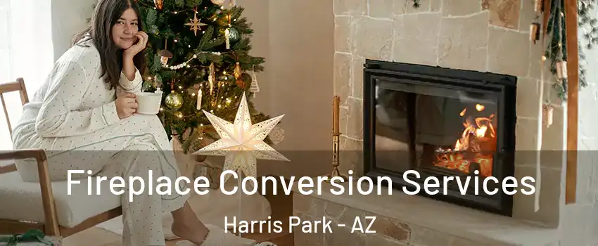 Fireplace Conversion Services Harris Park - AZ