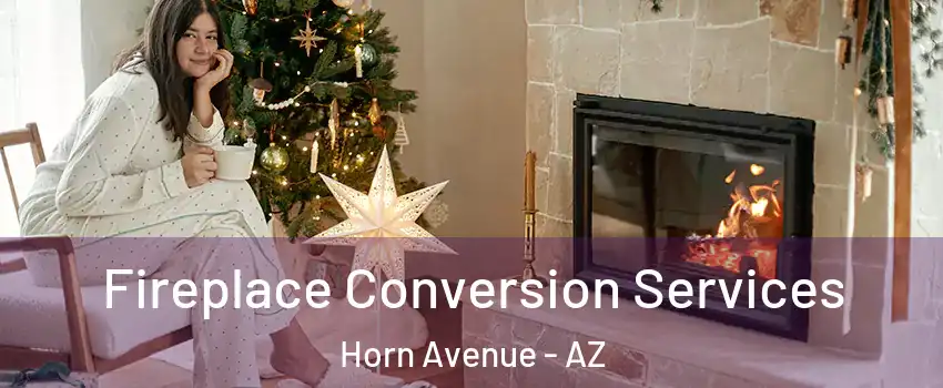 Fireplace Conversion Services Horn Avenue - AZ