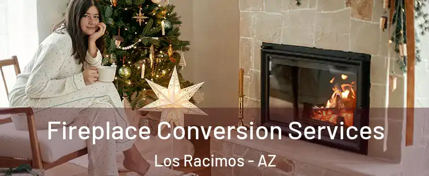 Fireplace Conversion Services Los Racimos - AZ