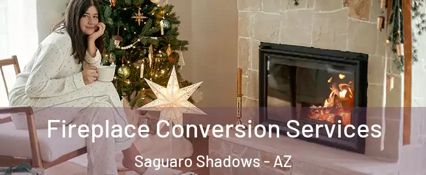 Fireplace Conversion Services Saguaro Shadows - AZ