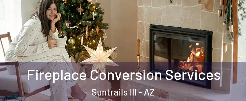 Fireplace Conversion Services Suntrails III - AZ