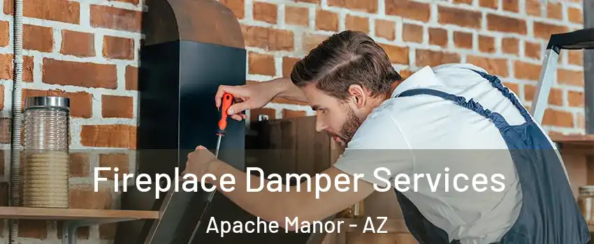 Fireplace Damper Services Apache Manor - AZ
