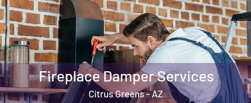 Fireplace Damper Services Citrus Greens - AZ