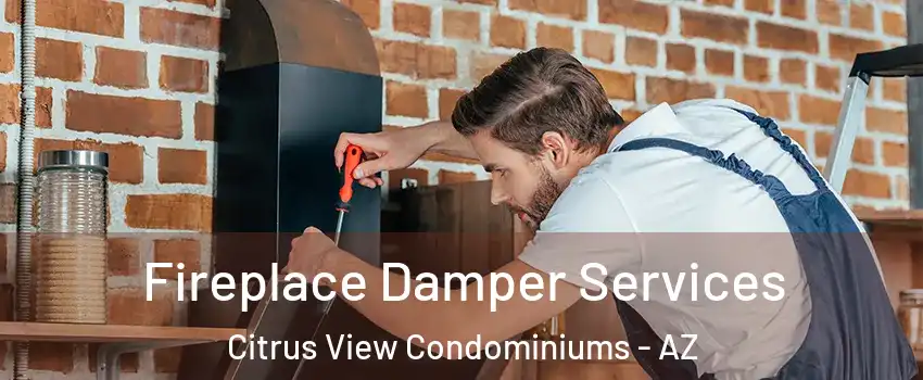 Fireplace Damper Services Citrus View Condominiums - AZ