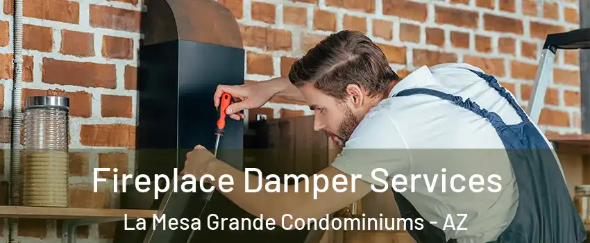 Fireplace Damper Services La Mesa Grande Condominiums - AZ