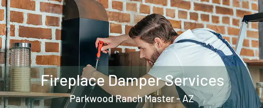 Fireplace Damper Services Parkwood Ranch Master - AZ