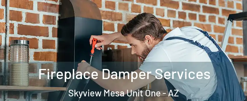 Fireplace Damper Services Skyview Mesa Unit One - AZ