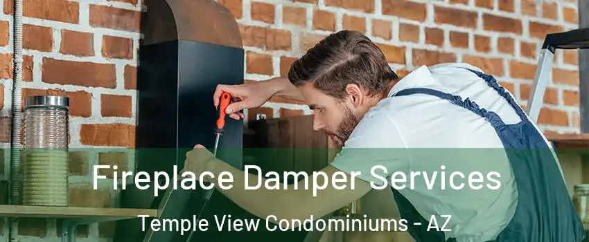 Fireplace Damper Services Temple View Condominiums - AZ