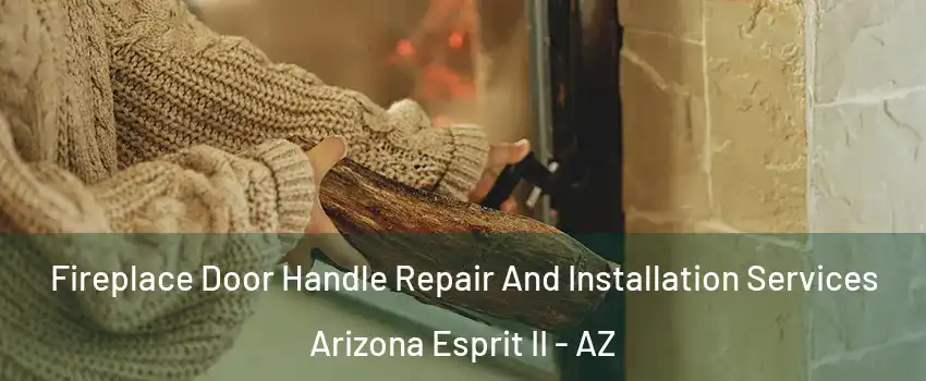 Fireplace Door Handle Repair And Installation Services Arizona Esprit II - AZ