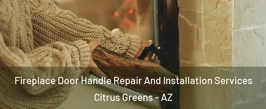 Fireplace Door Handle Repair And Installation Services Citrus Greens - AZ