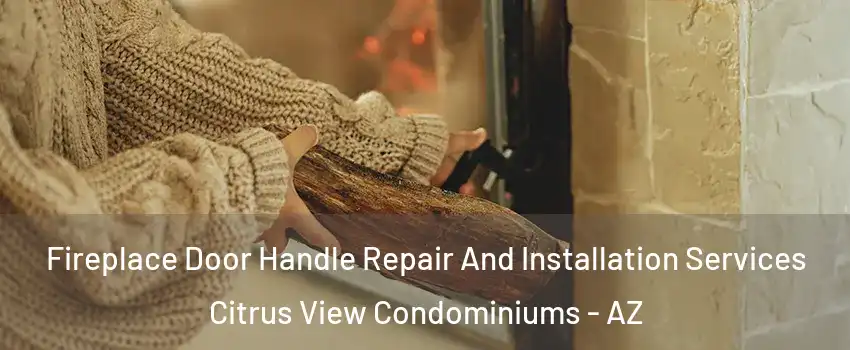 Fireplace Door Handle Repair And Installation Services Citrus View Condominiums - AZ