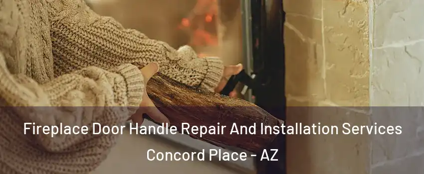 Fireplace Door Handle Repair And Installation Services Concord Place - AZ
