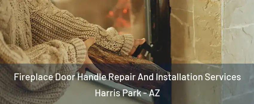 Fireplace Door Handle Repair And Installation Services Harris Park - AZ