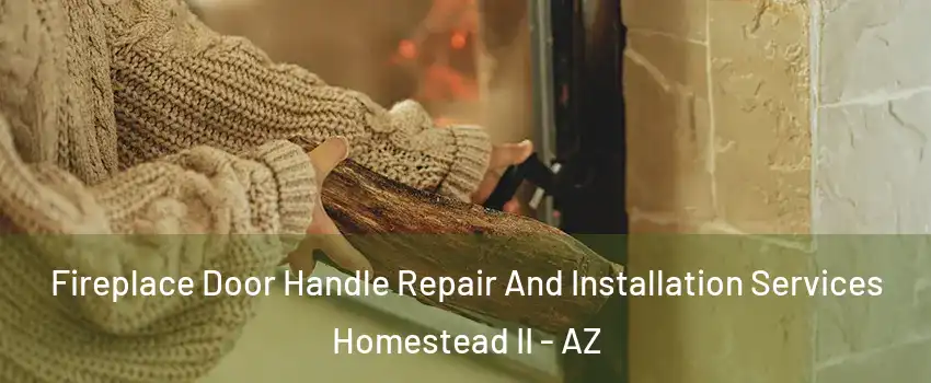 Fireplace Door Handle Repair And Installation Services Homestead II - AZ