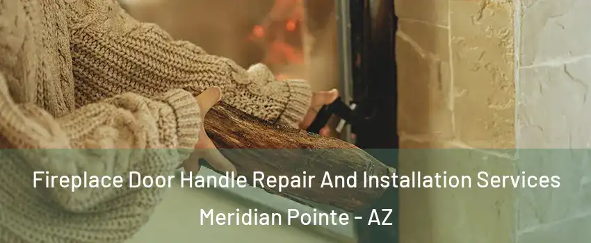 Fireplace Door Handle Repair And Installation Services Meridian Pointe - AZ