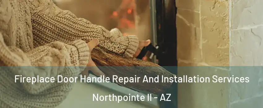 Fireplace Door Handle Repair And Installation Services Northpointe II - AZ
