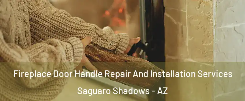 Fireplace Door Handle Repair And Installation Services Saguaro Shadows - AZ