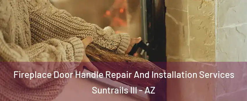 Fireplace Door Handle Repair And Installation Services Suntrails III - AZ