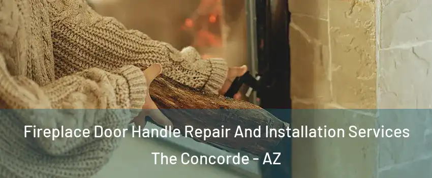 Fireplace Door Handle Repair And Installation Services The Concorde - AZ