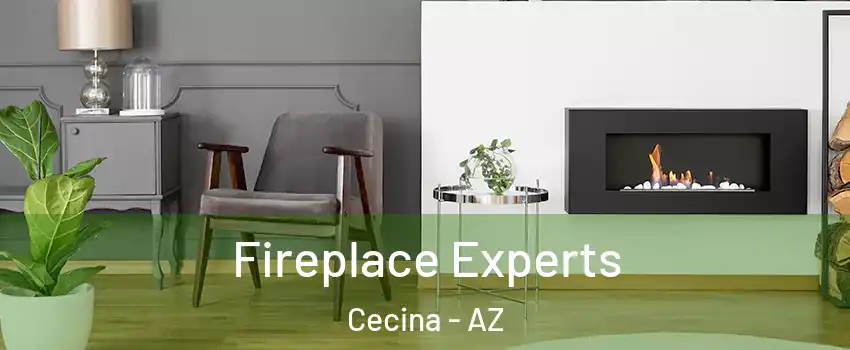 Fireplace Experts Cecina - AZ