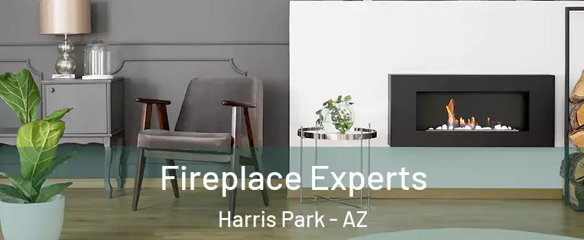 Fireplace Experts Harris Park - AZ