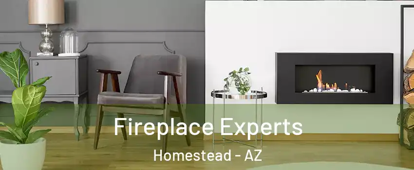 Fireplace Experts Homestead - AZ
