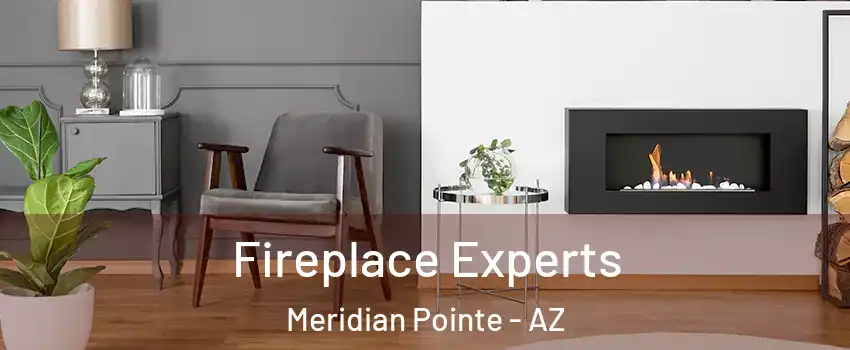 Fireplace Experts Meridian Pointe - AZ