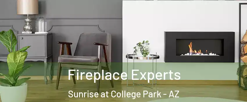 Fireplace Experts Sunrise at College Park - AZ