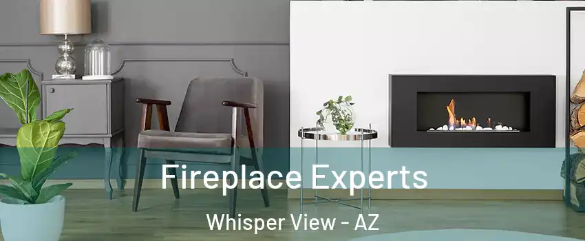 Fireplace Experts Whisper View - AZ