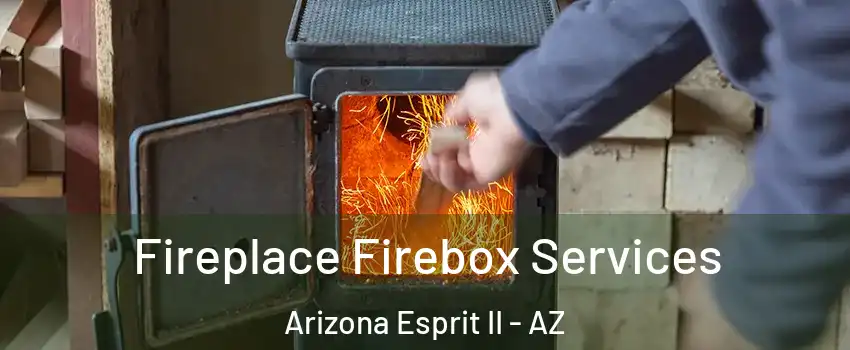 Fireplace Firebox Services Arizona Esprit II - AZ