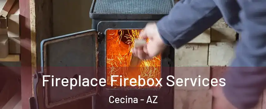 Fireplace Firebox Services Cecina - AZ