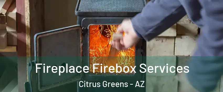 Fireplace Firebox Services Citrus Greens - AZ