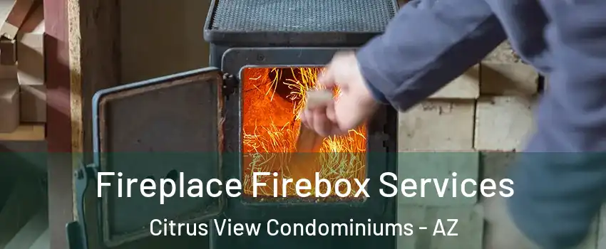 Fireplace Firebox Services Citrus View Condominiums - AZ